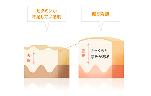ビタミンAが健やかな肌コンディションを保ちます