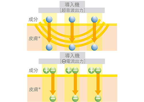 結果重視のトリートメントシステム